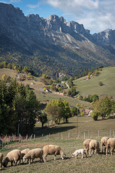 La Ferme du Grand-Veymont