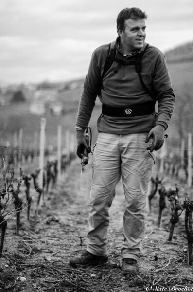 Domaine Nicolas Boudeau