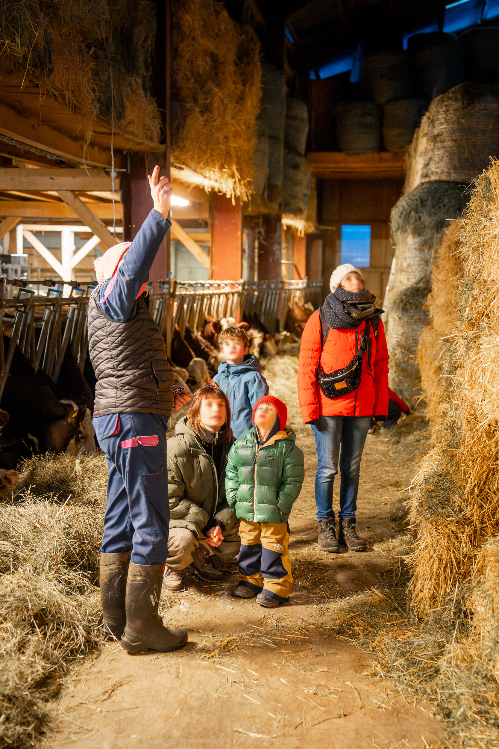 Visite guidée d'une ferme de montagne