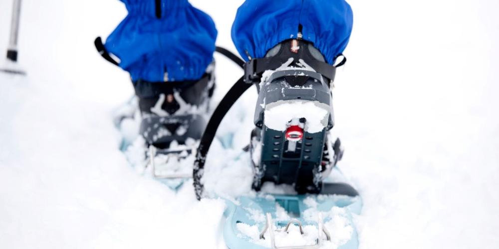 Balade nocturne au Chalet du Mélèze Du 17 janv au 21 fév 2025