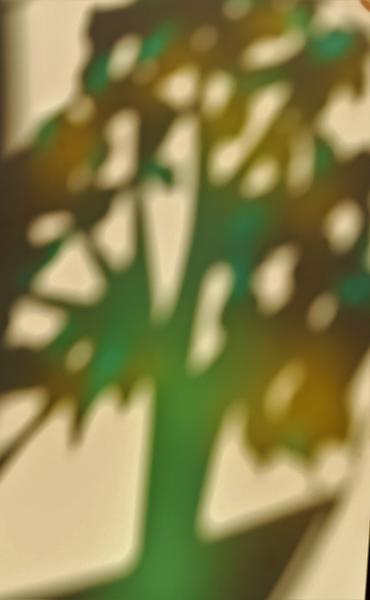 Bleu citron - reflets