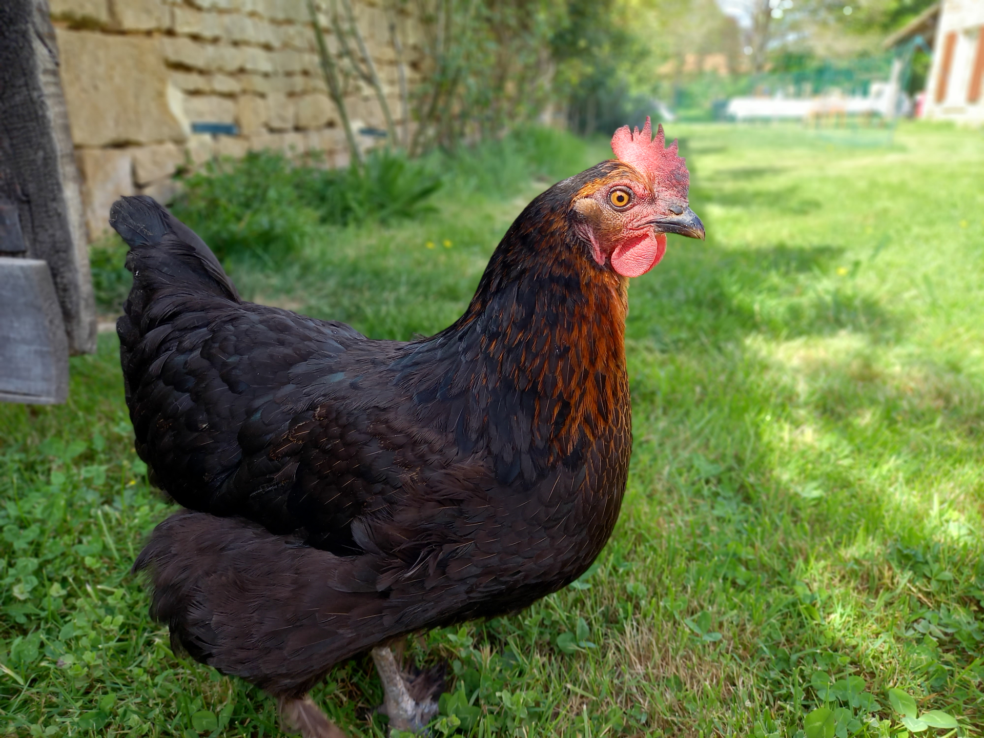 Soyez Marans fête ses 10 ans !