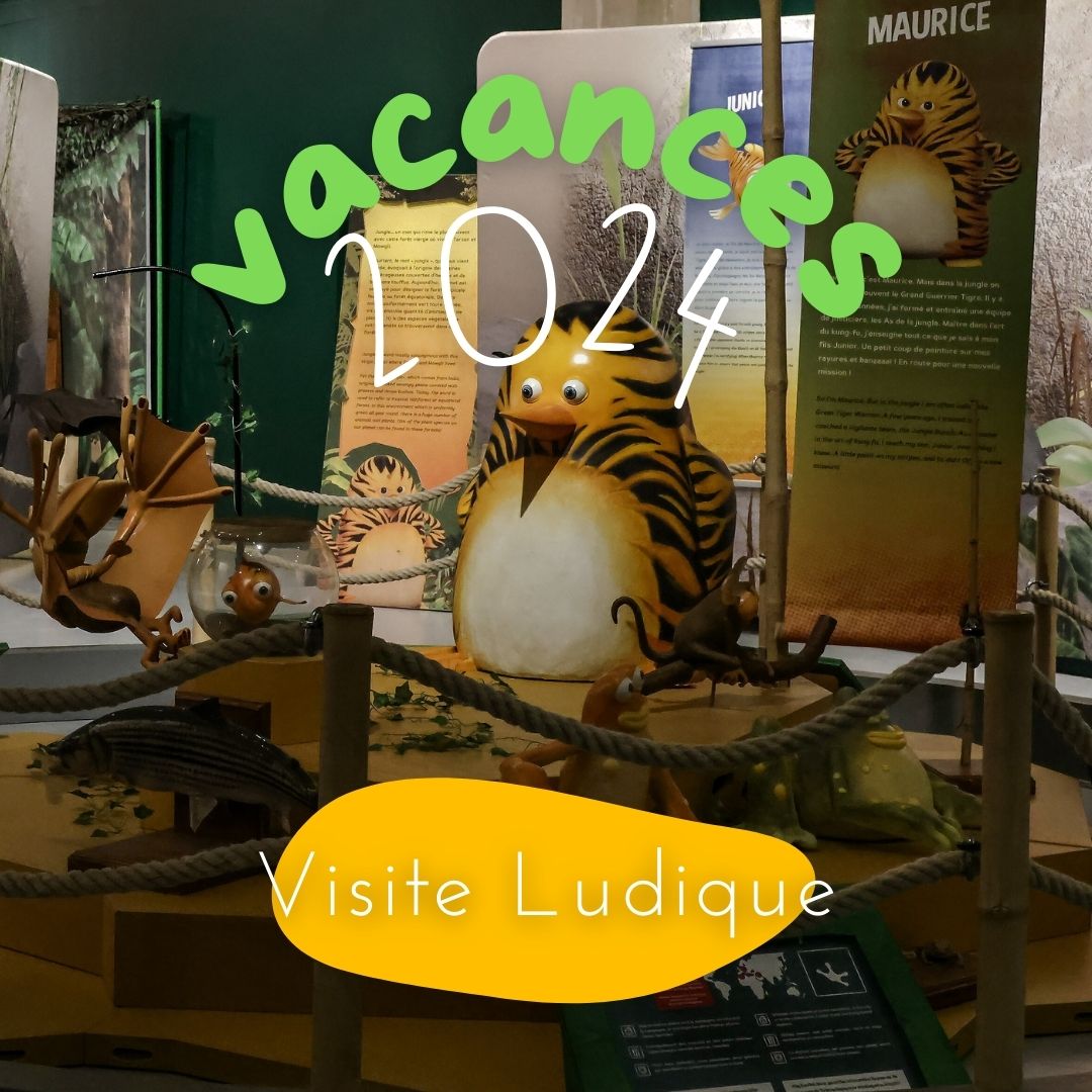 Visite ludique 