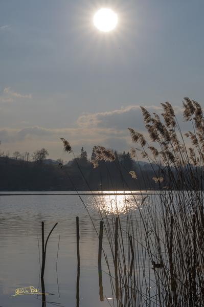 Christine Pascal - Photographe nature Aiguebelette