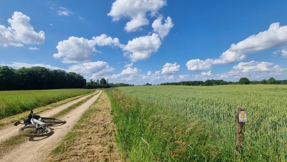 Circuit VTT-VTC n°28 (rouge) - Grand tour de Mépillat - Terres fortes de Cormoz_Saint-Nizier-le-Bouchoux