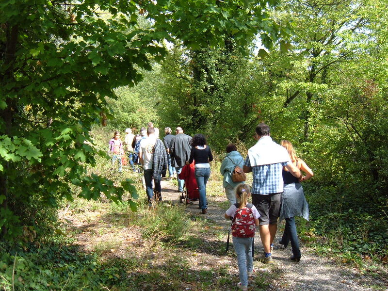 Sentiers de randonnée sur la CCMP
