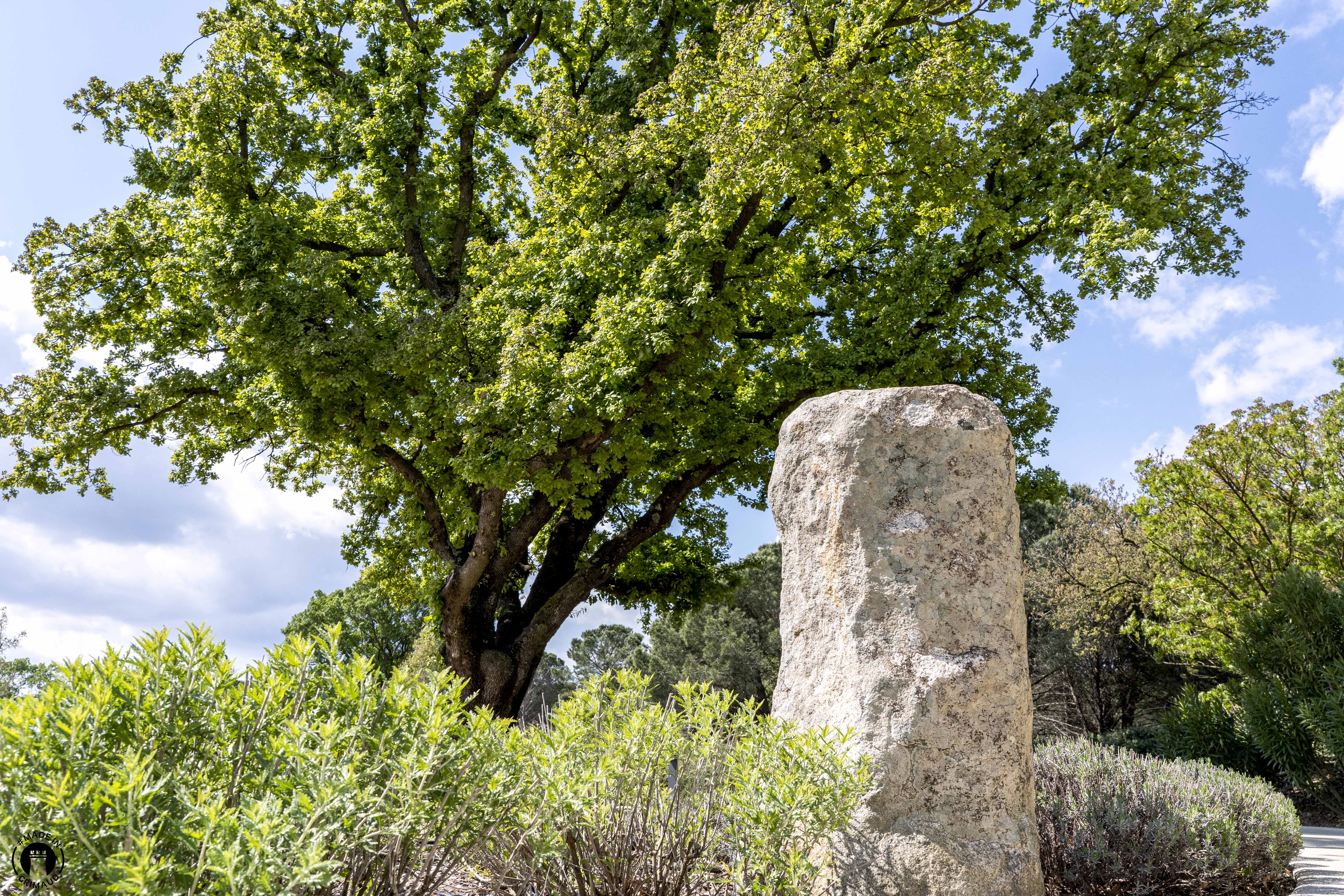 Menhir à Grimaud