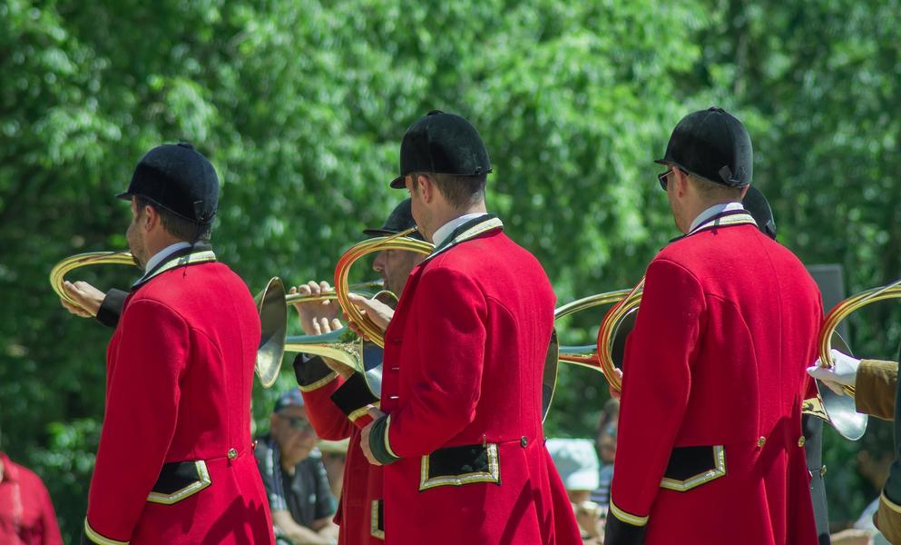 Concert trompe de chasse