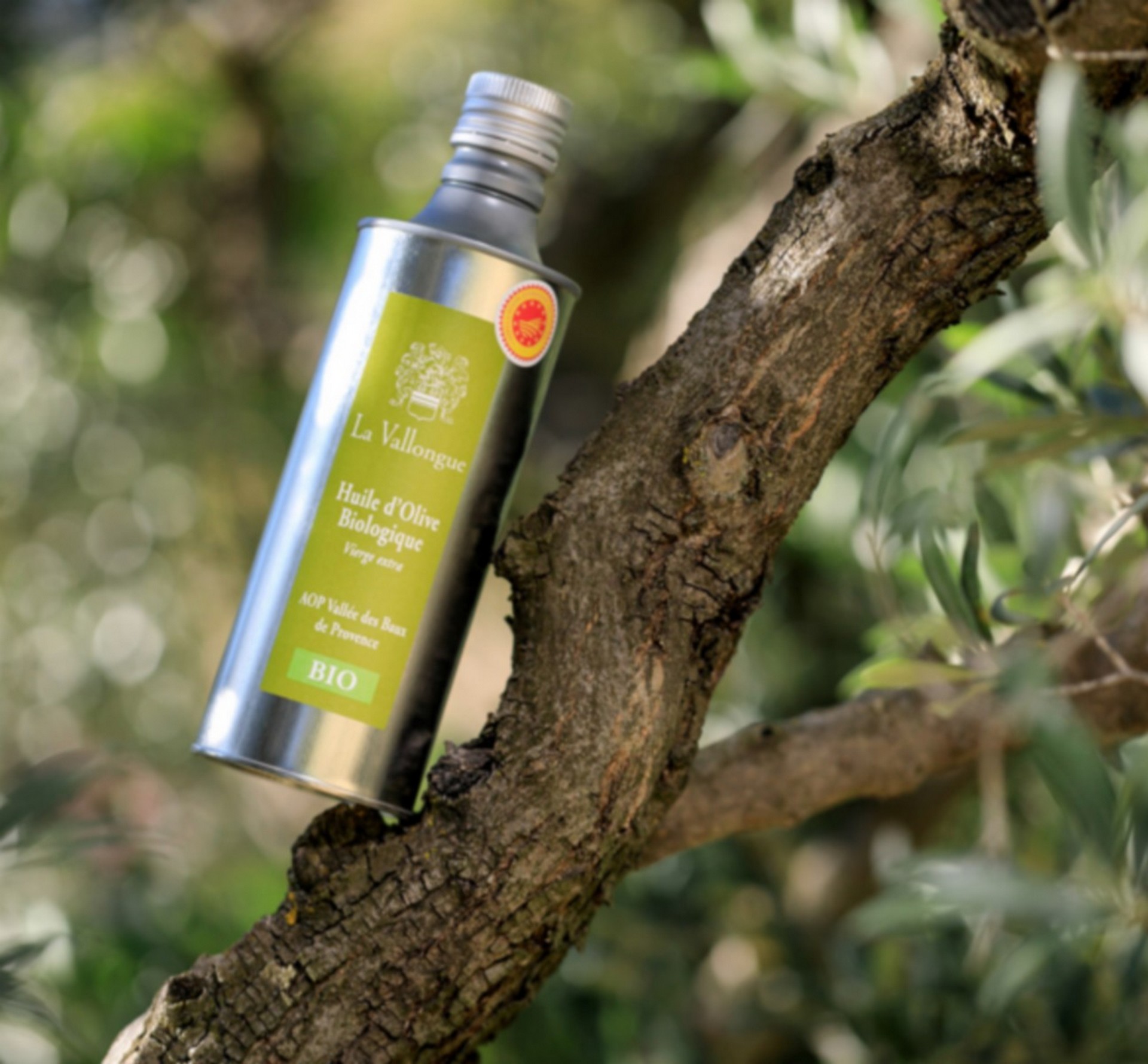 Domaine de la Vallongue - photo 2