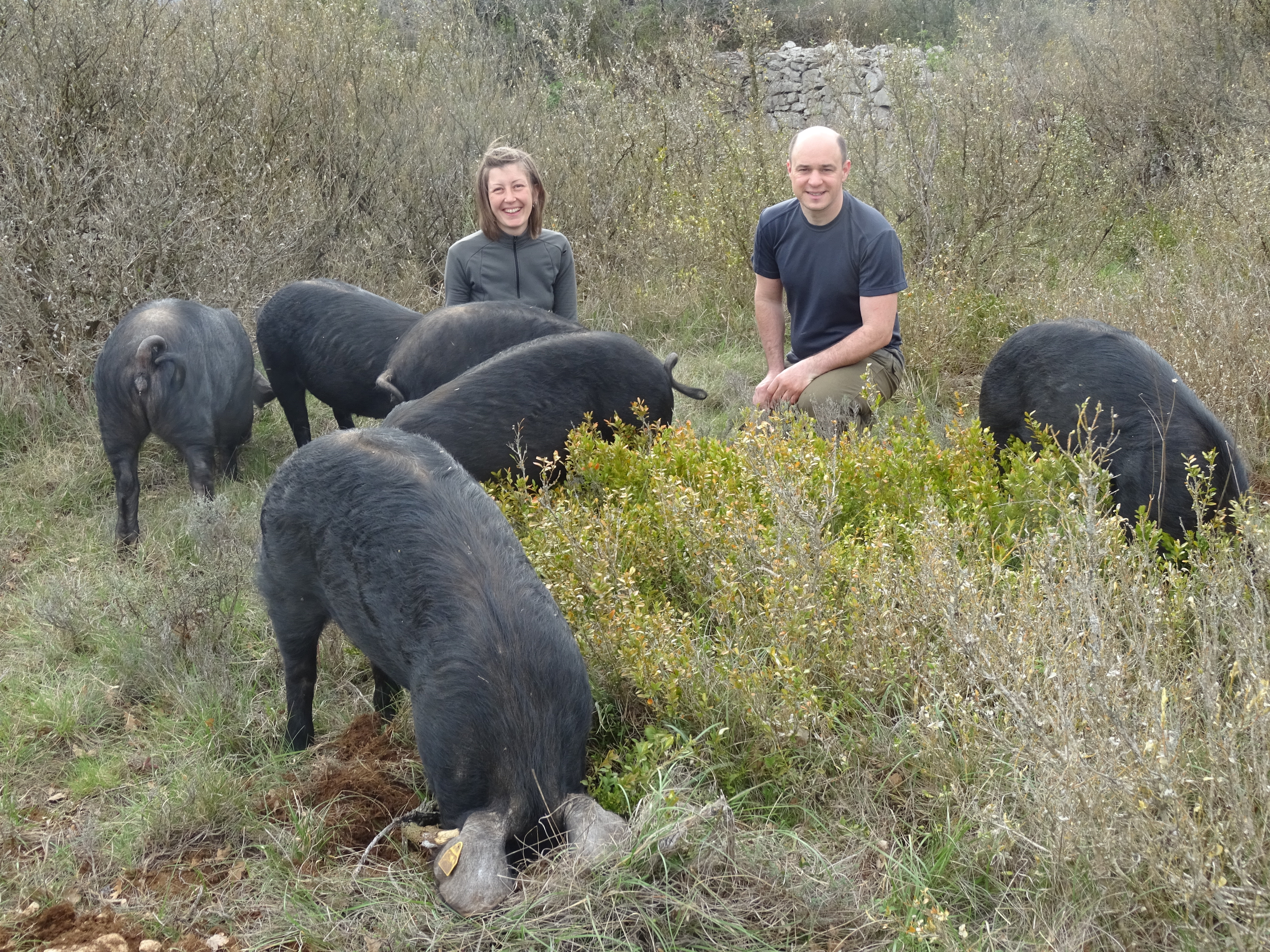 Visite libre de la ferme du plateau des soies
