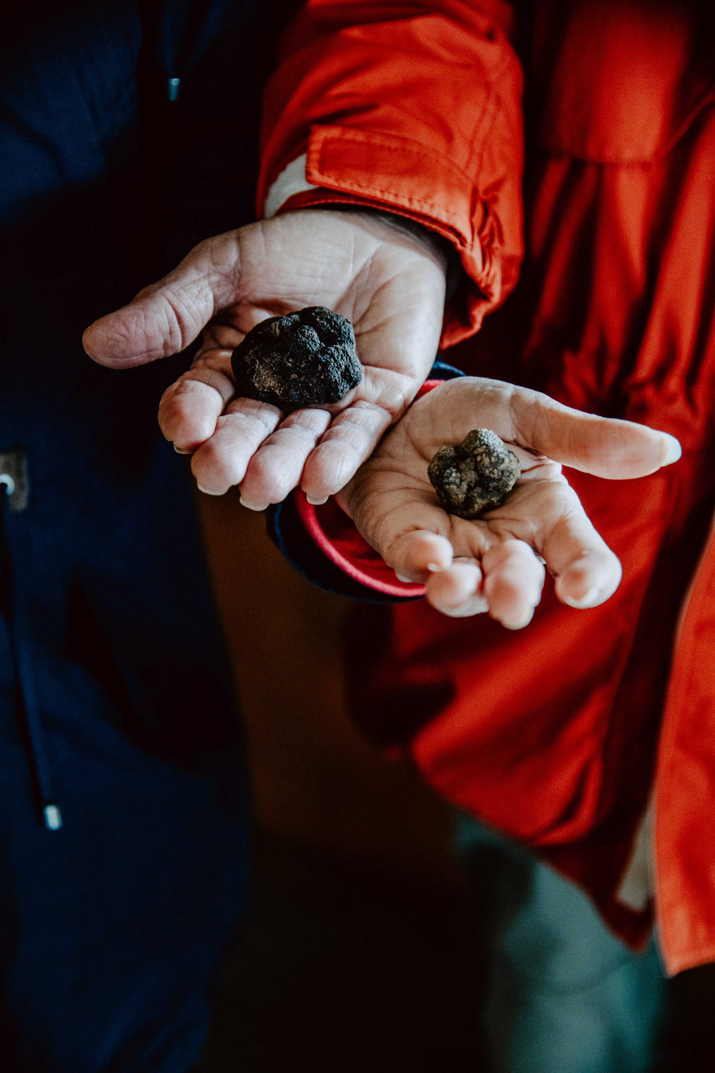 CharlèneBoiriePhotographe-Domainedevigier-1