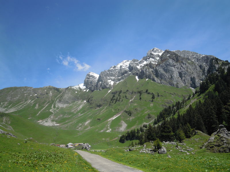 GR5 : Alpage de Bise - Refuge de Trébentaz