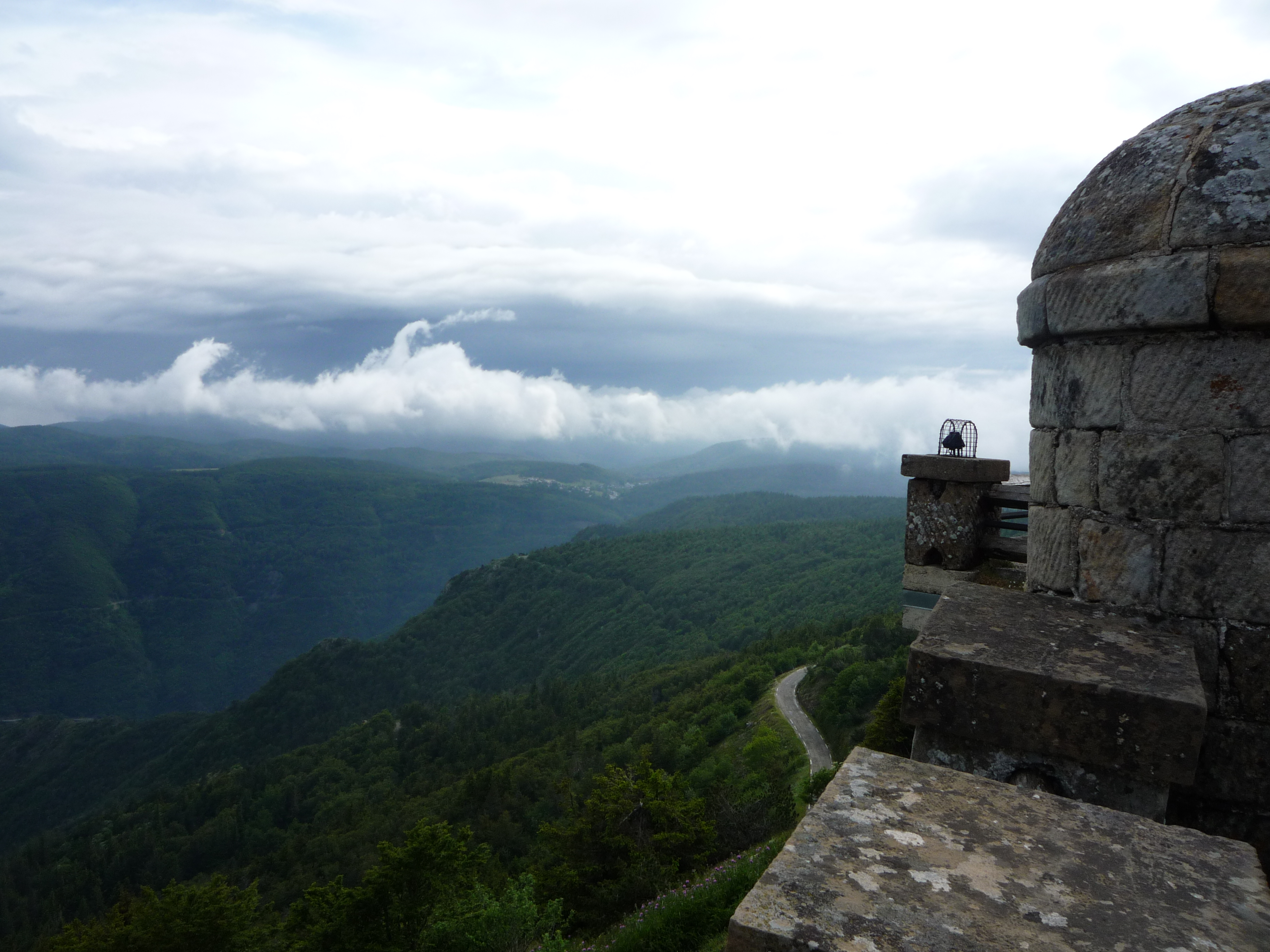 Forestiv'Aigoual_L'Esperou