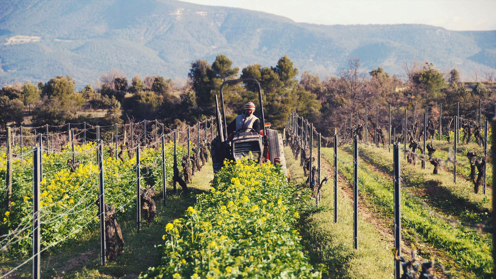 pour une découverte des vins