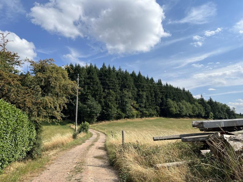 28éme Marche des Sapins_Saint-Germain-la-Montagne