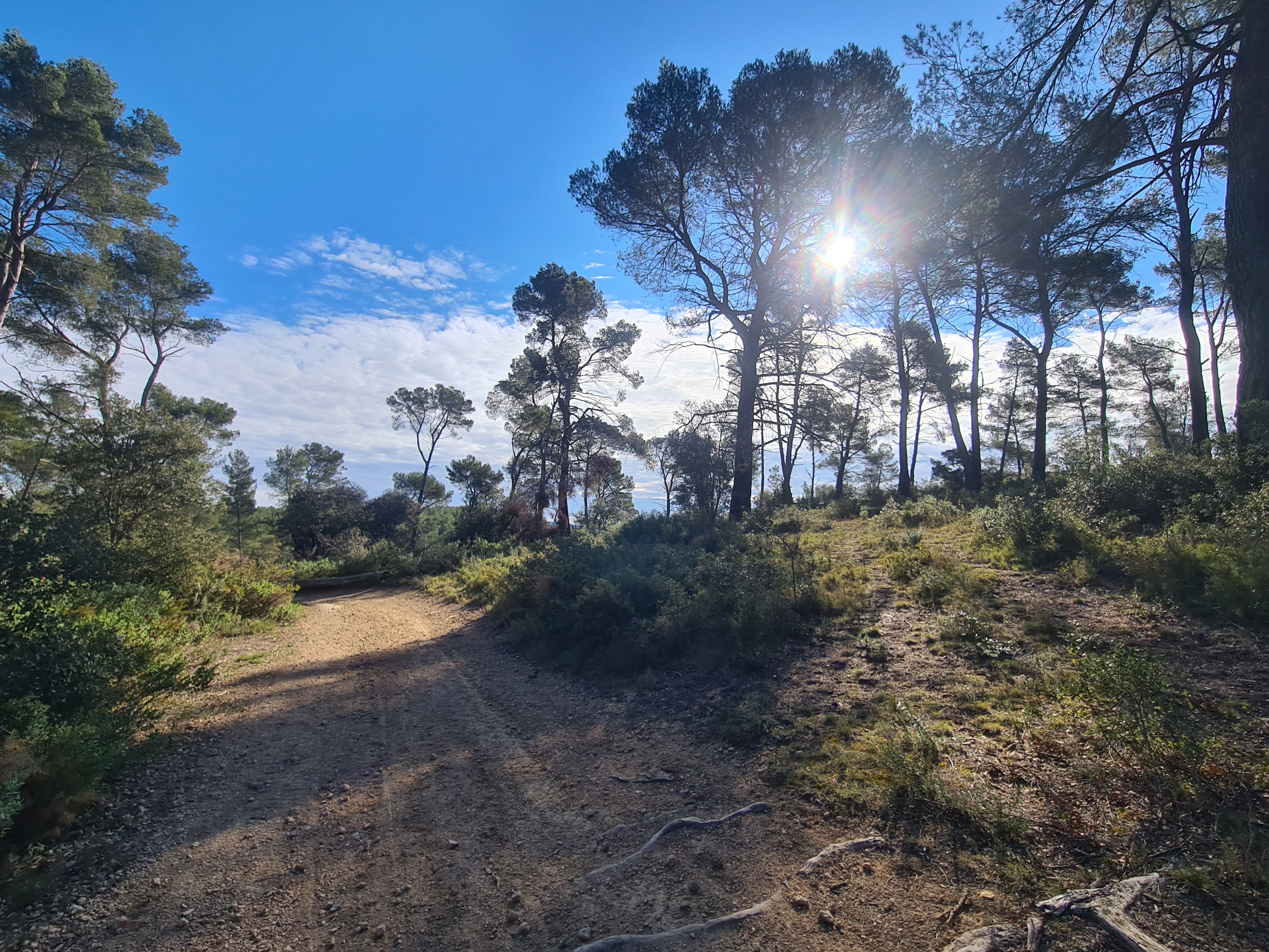 Sentier du Mur de Gueidan, Gardanne - photo 2