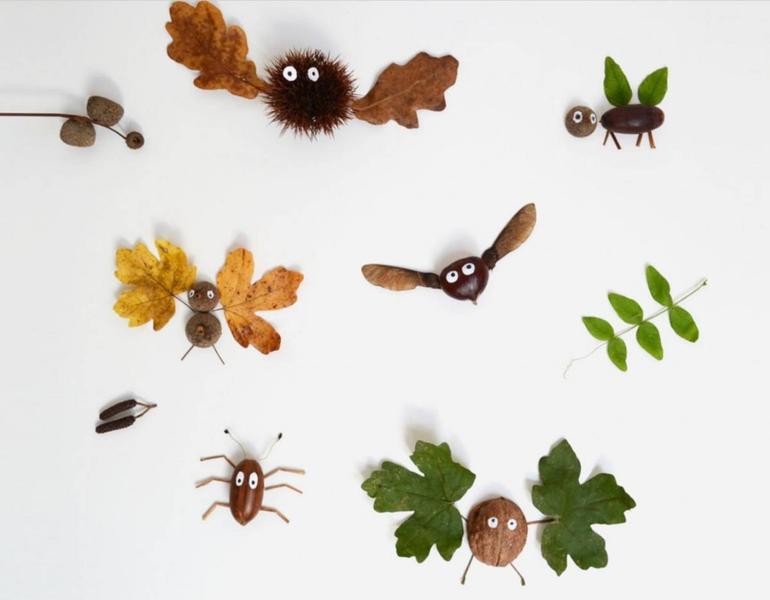 Ateliers pour enfants : insectes imaginaires