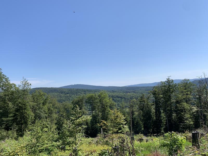 Vue panoramique