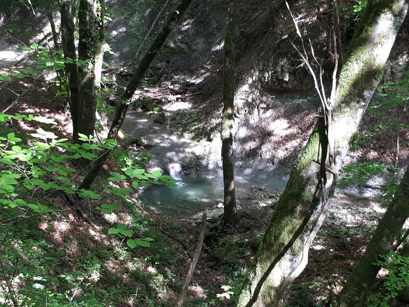 Balade contée : les rencontres sauvages de la rivière_Bénonces