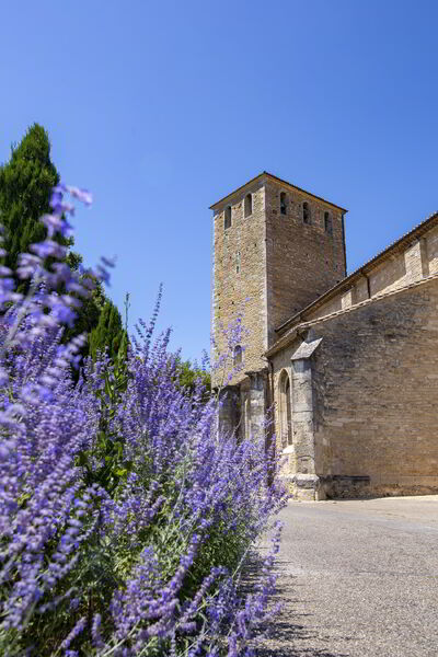 Collégiale Saint Martin