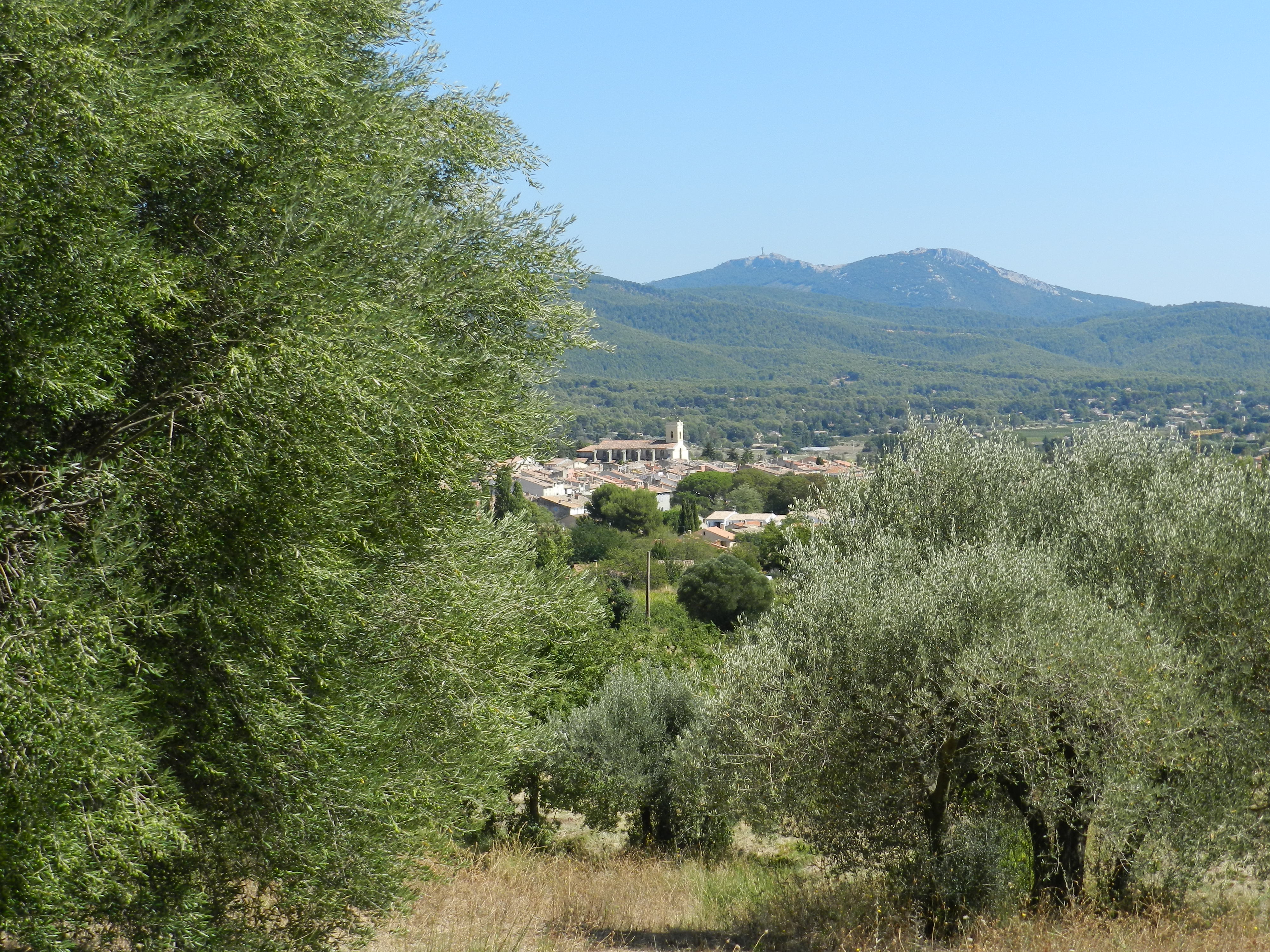 Vue sur Le Beausset