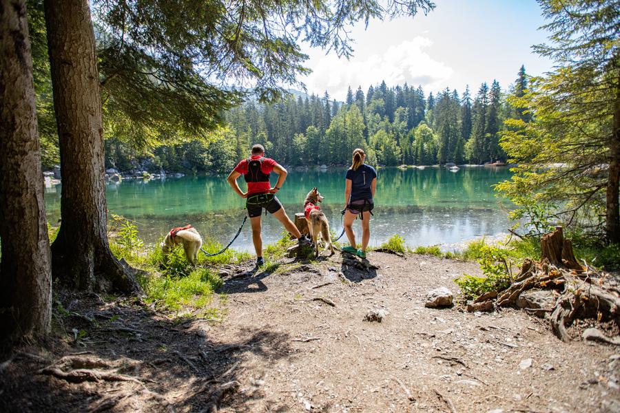 Les Granges de Heïdi_Magland