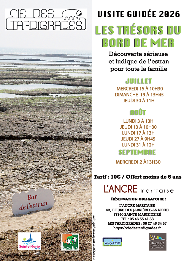 LES TRÉSORS DU BORD DE MER