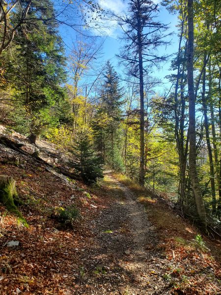 Vers le Belvédère de Curnillon