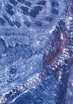 Exposition de peinture Patricia Pianetta à la bibliothèque