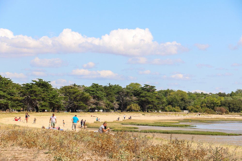 Plage aux coquillages (ou Anse du Saillant)
