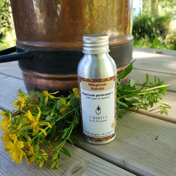 Découvrez avec l'Hortus de la Vernaison les bienfaits et les propriétés du millepertuis. Un atelier une balade Nathalie vous livrera son savoir
