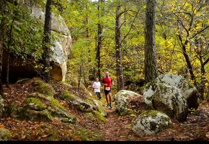 Trail des châtaignes