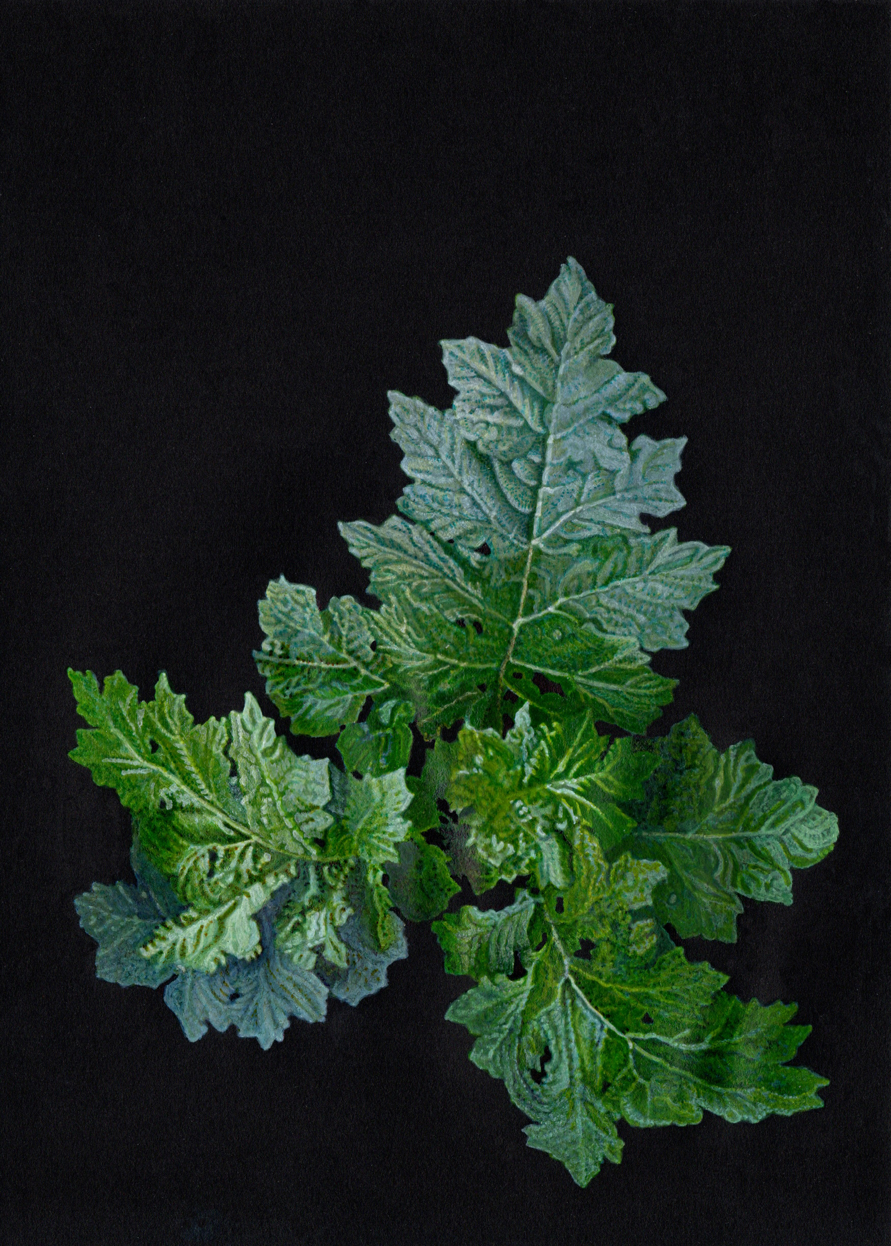 "(S'EN) SORTIR", exposition Karine Bedjidian