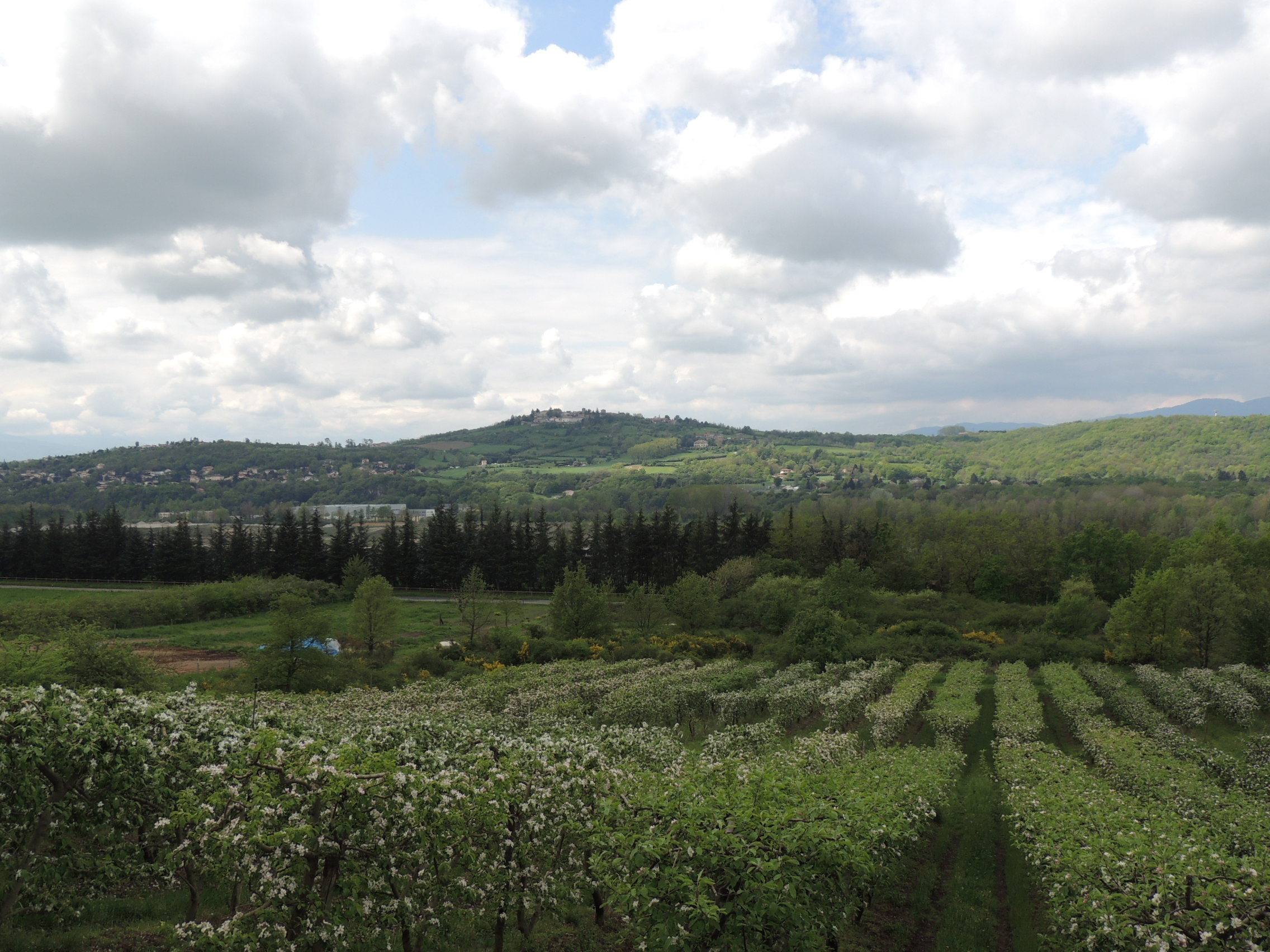 Vue sur Montagny depuis Millery