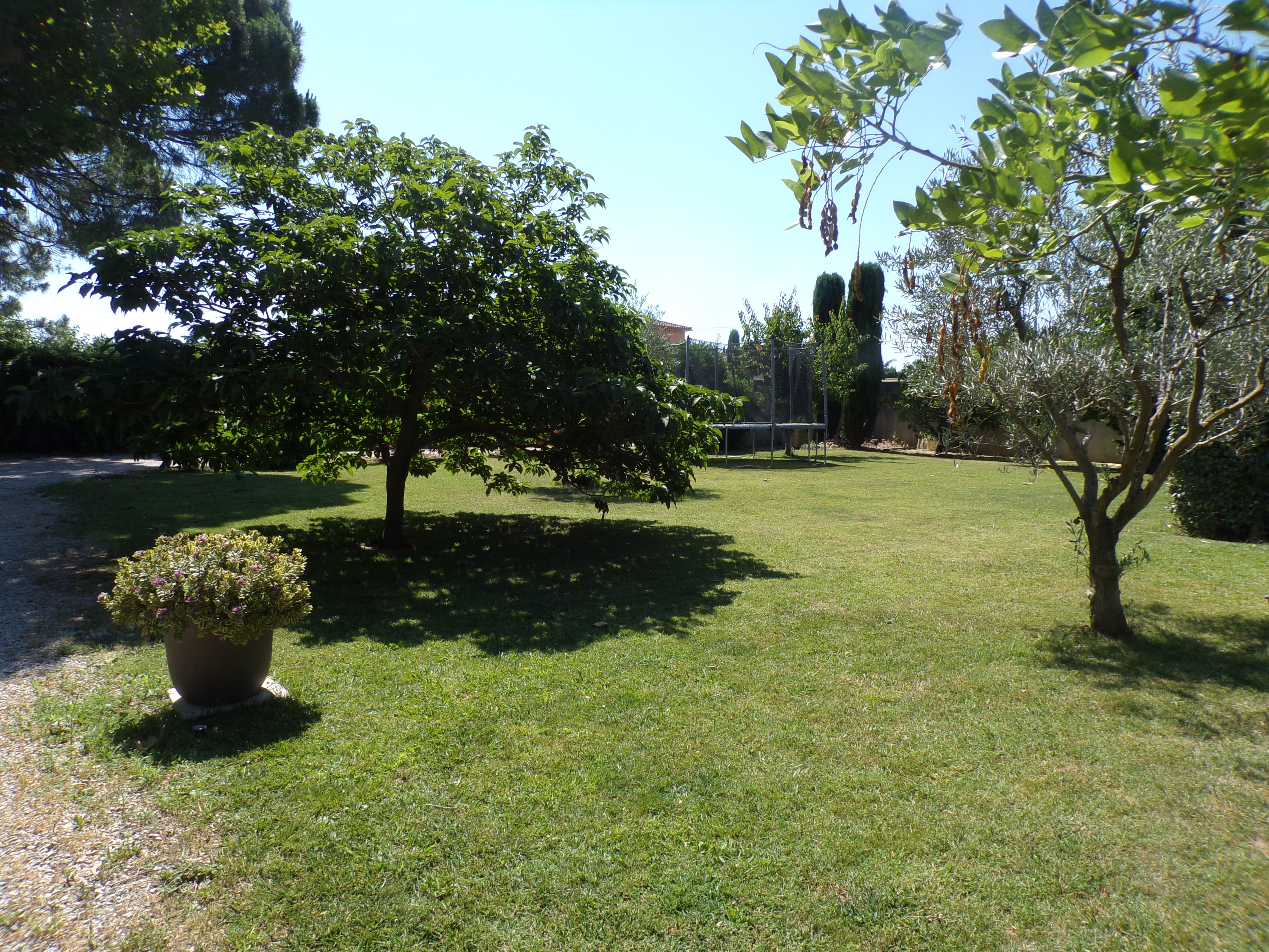 Mazet des Pins, Graveson - photo 5