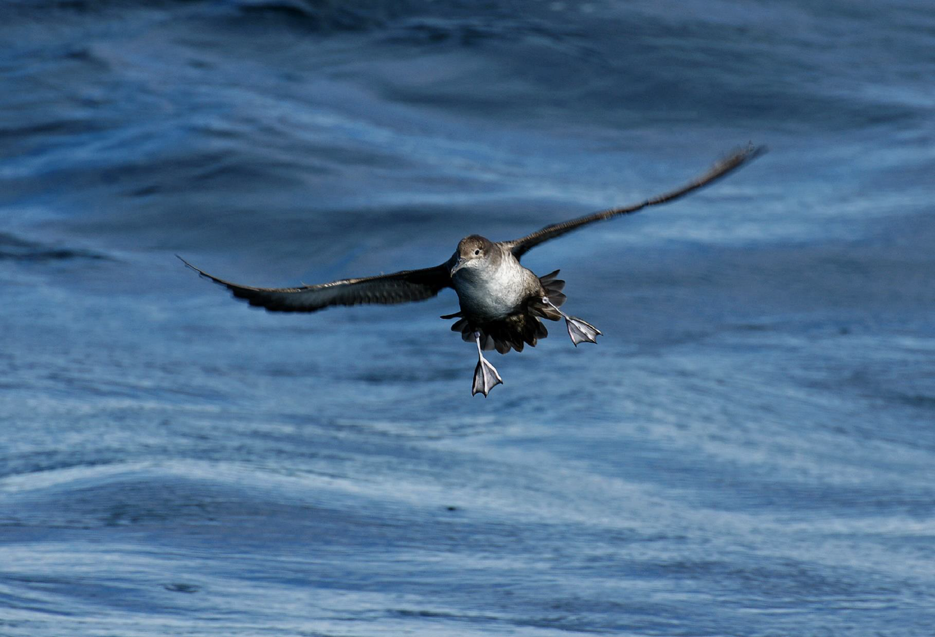 Conférence sur le thème de "la résilience" avec Lemarque Thierry et Rivière Eléonore