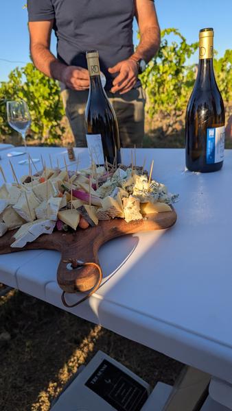 Apéro sunset dans les vignes - Domaines d'Aniello et Vallet_Félines
