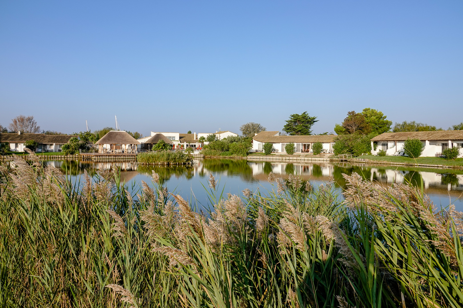 L’Estelle en Camargue