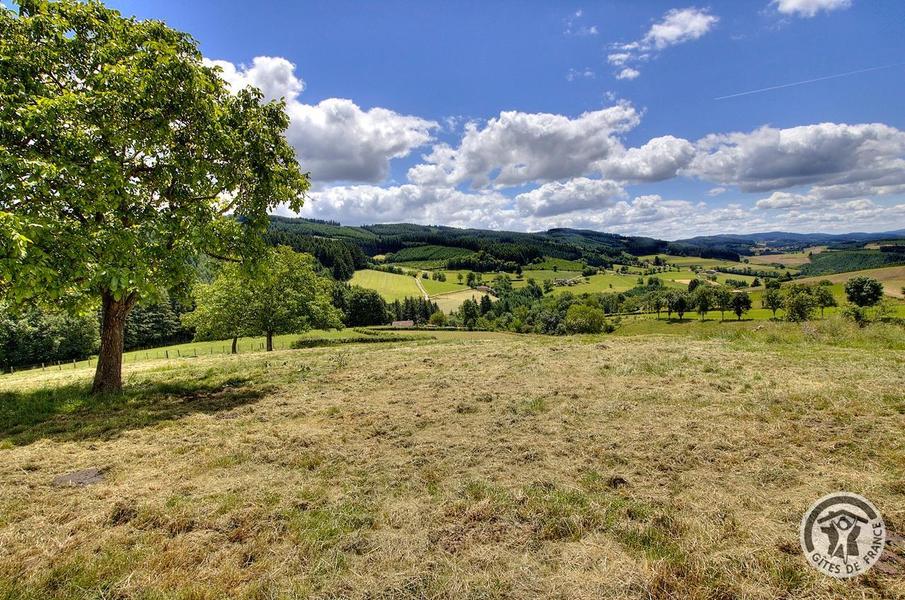 Grand Gîte - 12 personnes - \
