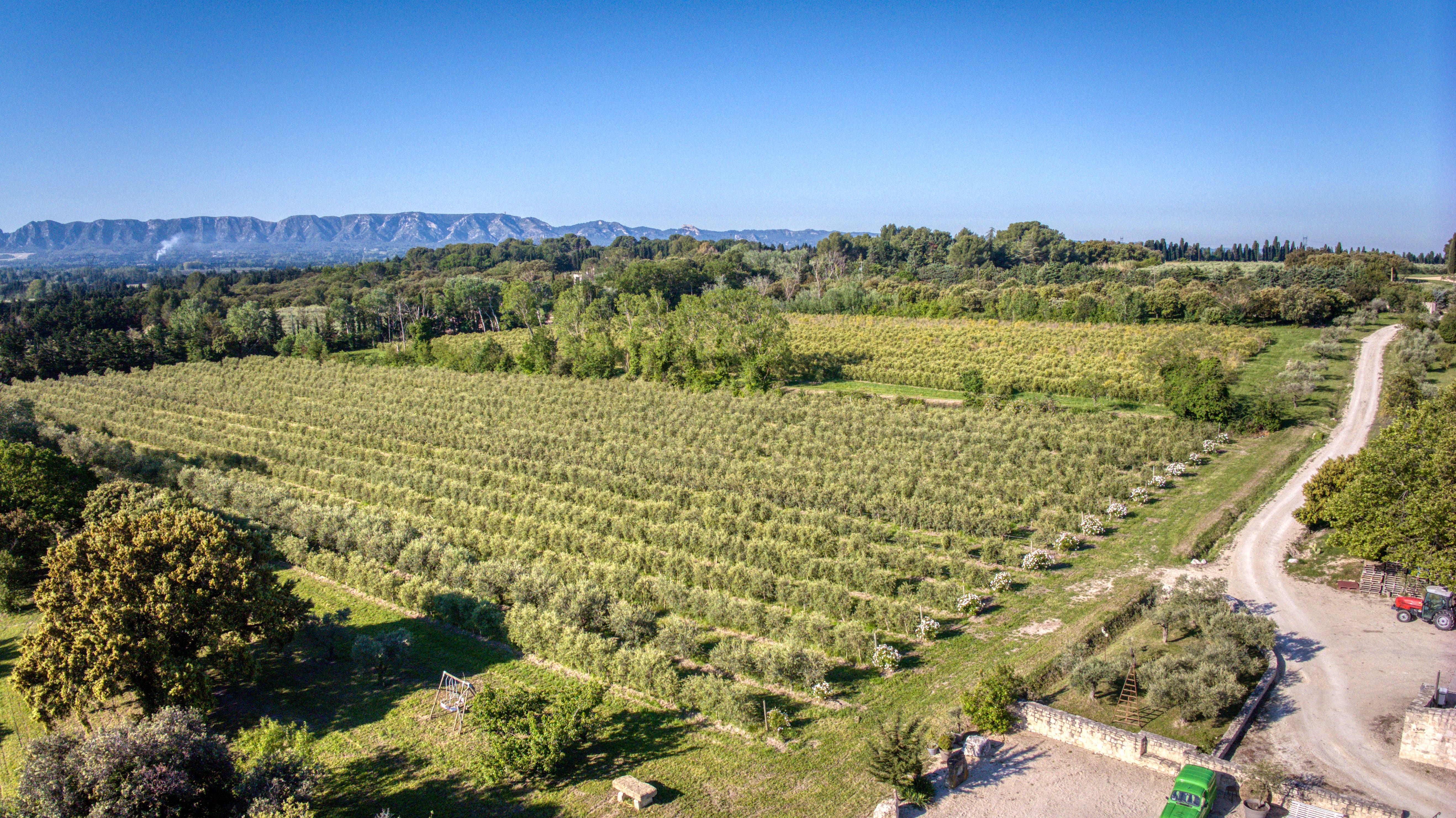 Circuit : Sur le chemin des oliviers