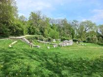 Sortie nature : découverte de la face cachée des ENM / Bois des Vouillants_Seys…