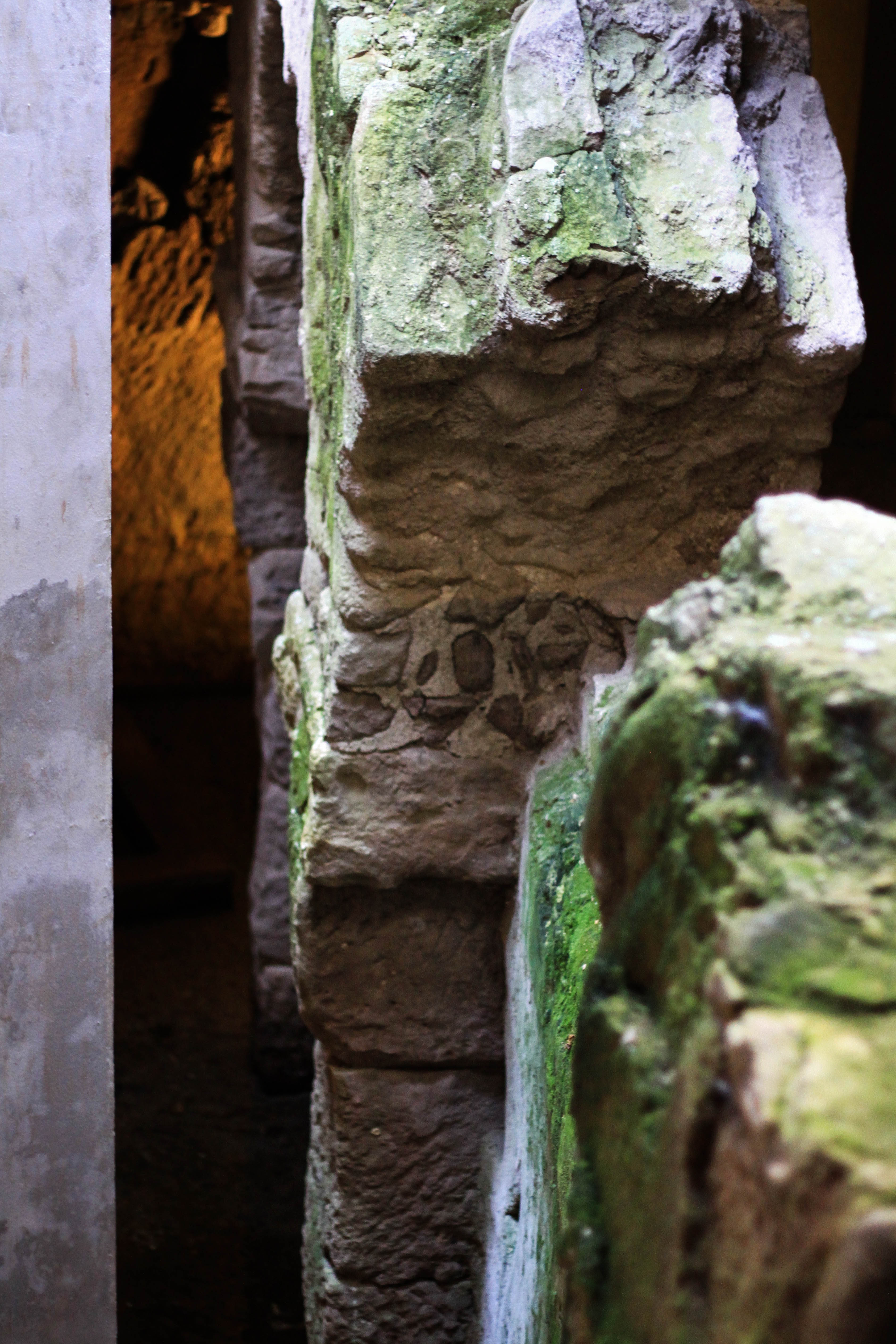 Visite Guidée Musée Archéologique Et Crypte Du Vivier Romain Fréjus Provence Alpes Côte 