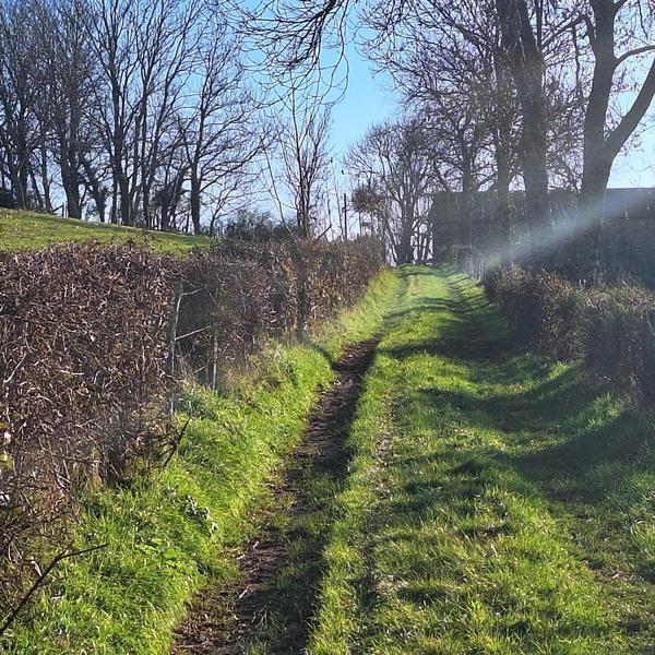 Le pré bleu de Marnand grand cottage