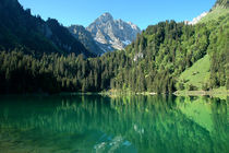 Lac des Plagnes - Abondance en Haute-Savoie