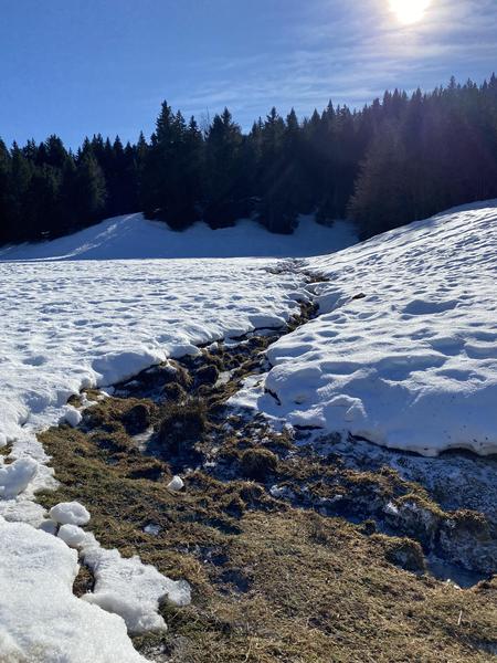 Itinéraire raquettes à neige : la petite traversée_Le Revard