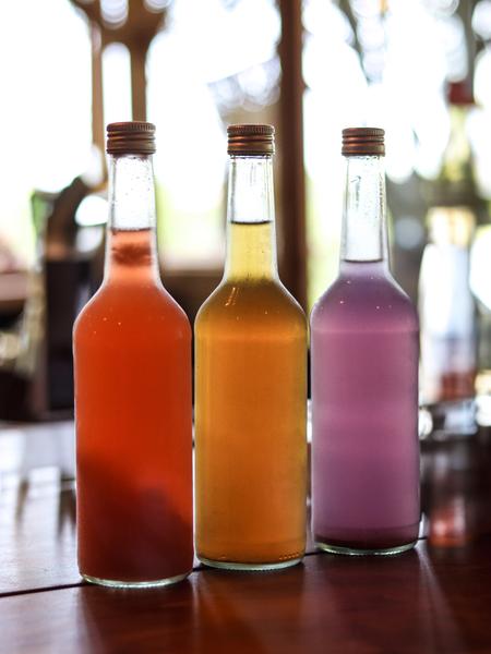 Atelier fermentation
