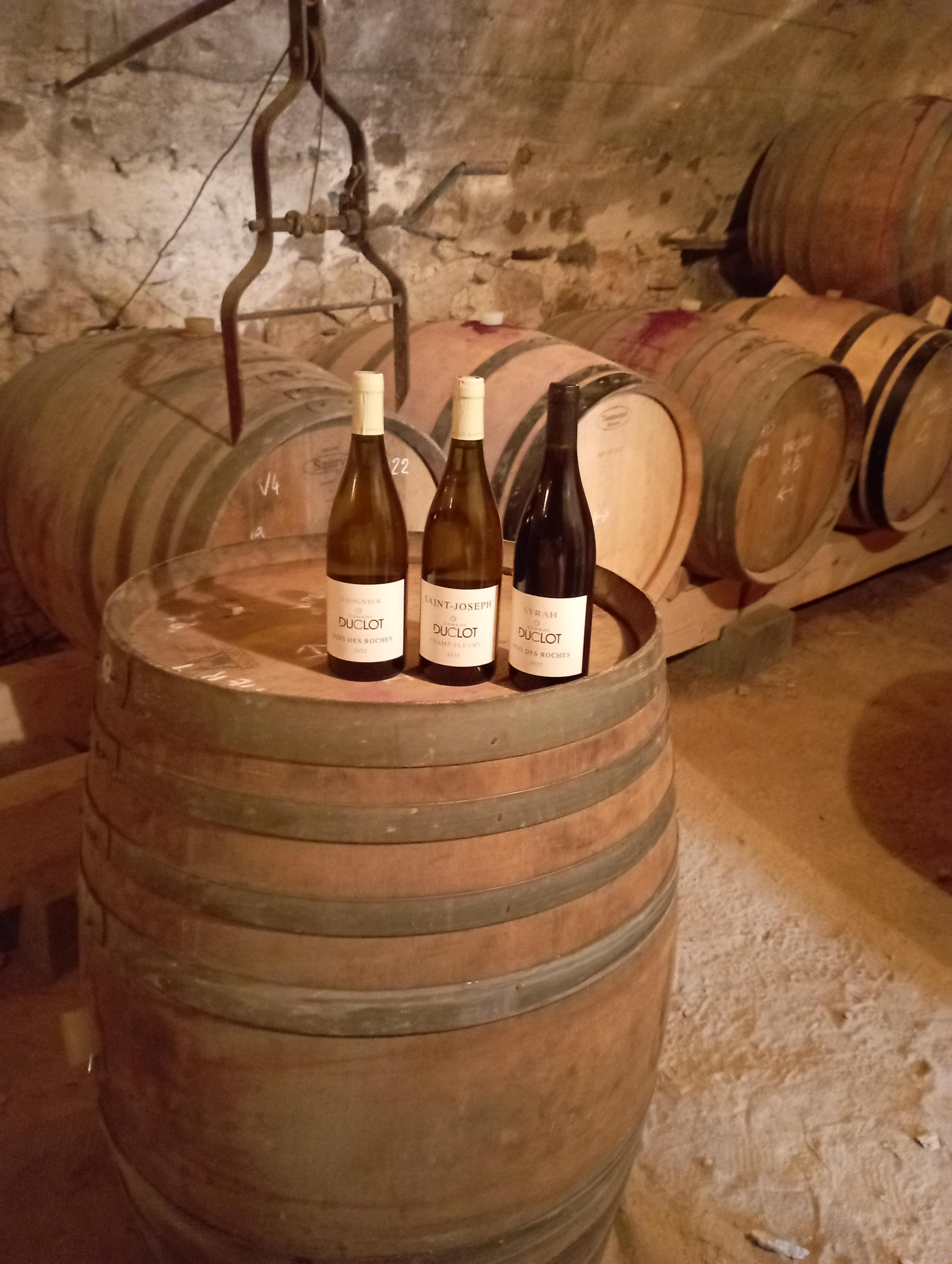 Dégustation dans la vielle cave