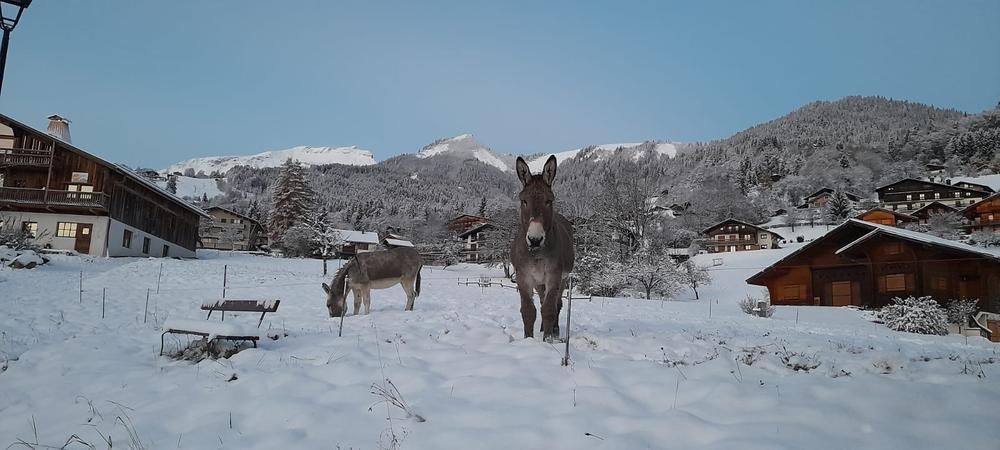Boucle de la Plagne - hiver_Cordon