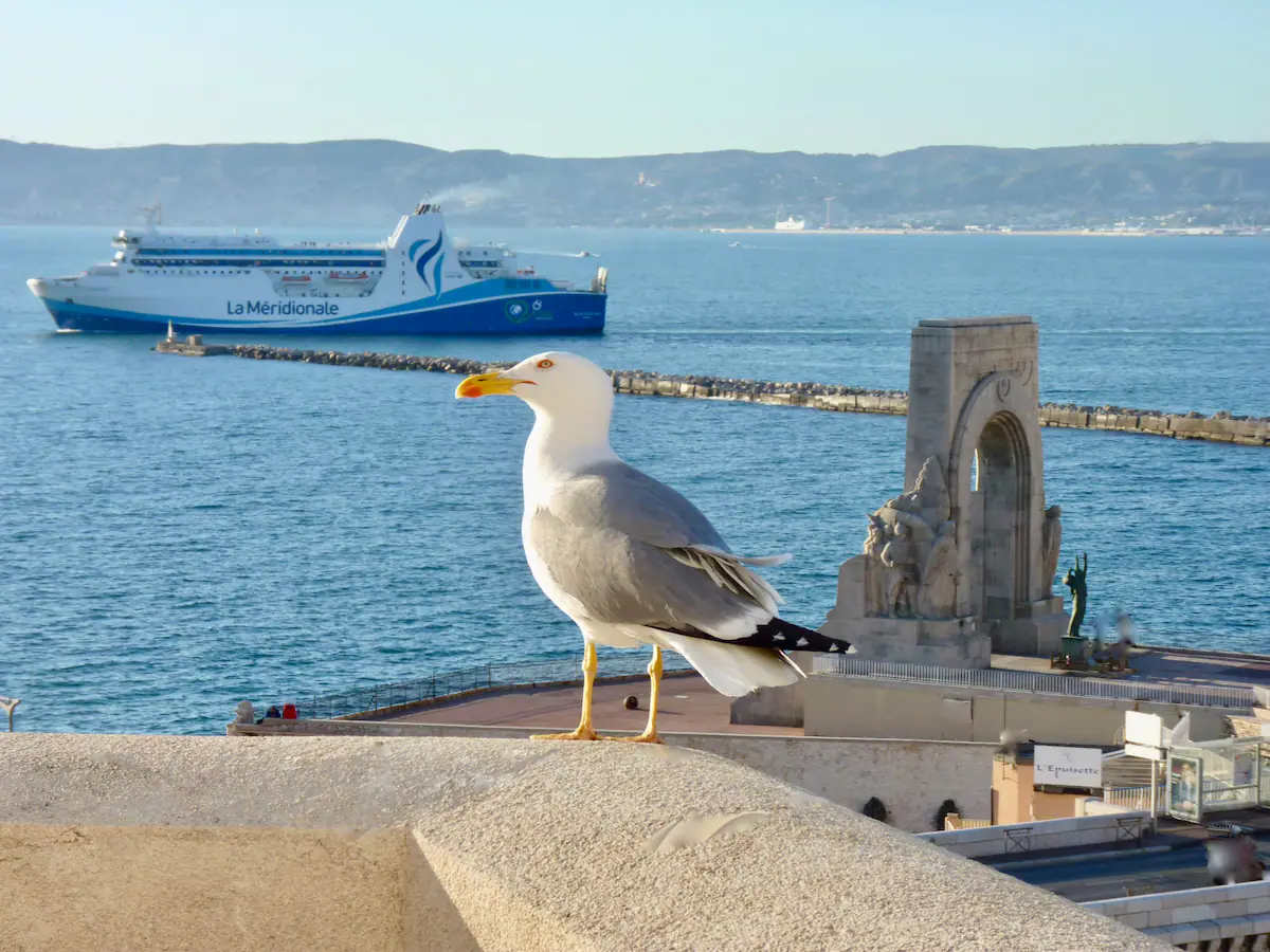 Au coeur du Vallon des Auffes : Villa Anaïs, Vue mer., Marseille 7e Arrondissement - photo 2
