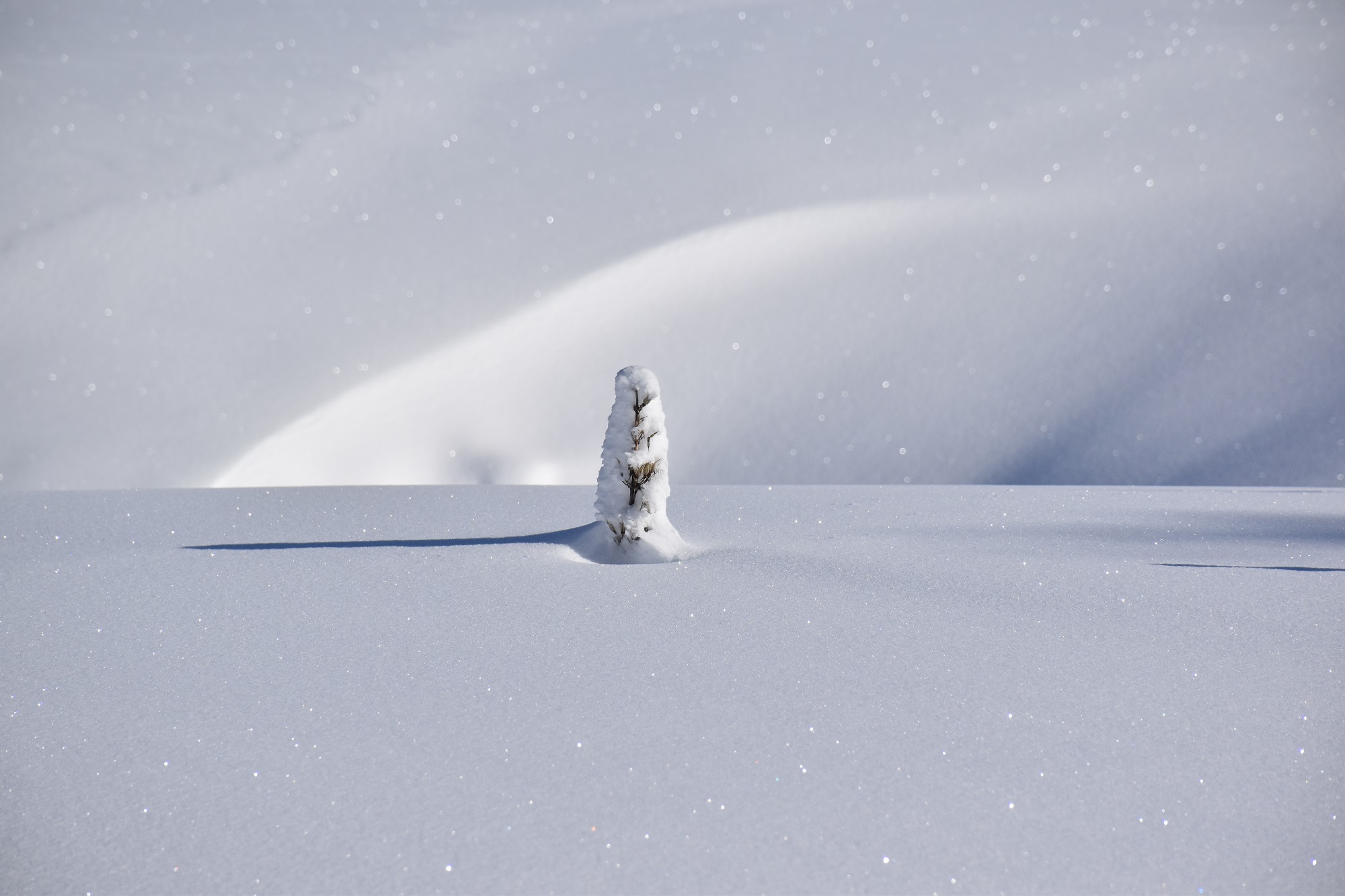 Piste noire de ski de fond du Plateau de Retord : Le Tour du Retord